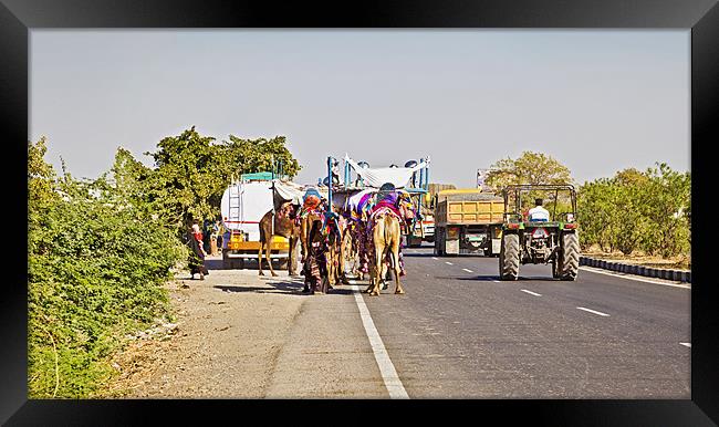 Road congestion Pedestrians Camel Caravan Tractor  Framed Print by Arfabita  