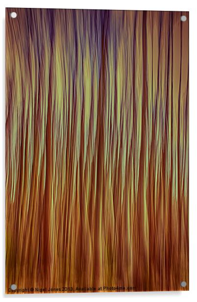 Forest Fire Acrylic by Nigel Jones