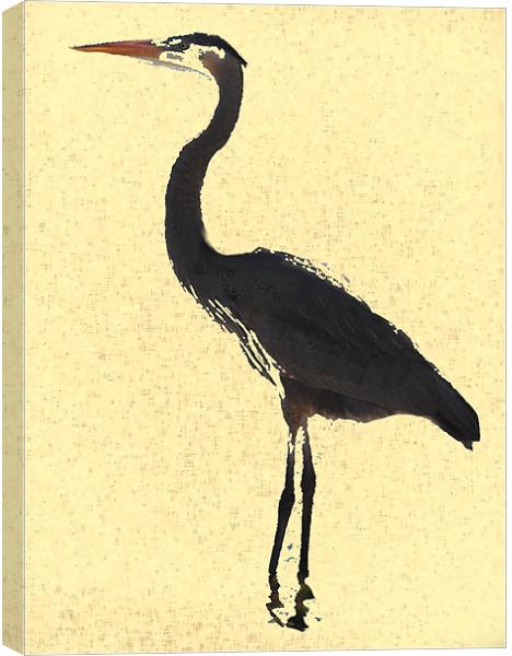 Heron wading in ocean Canvas Print by Regis Yaworski