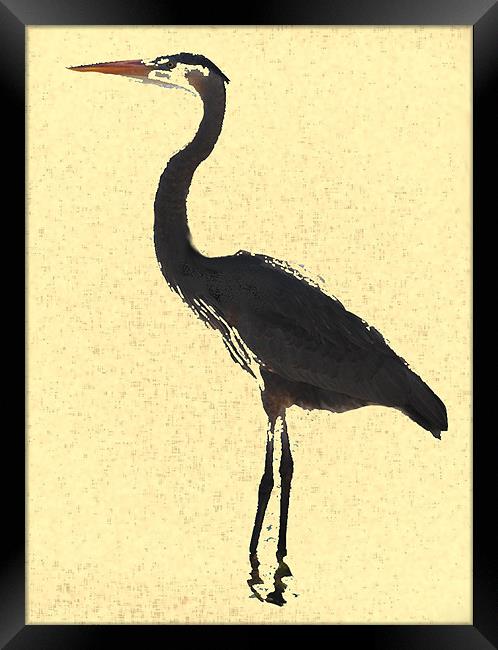 Heron wading in ocean Framed Print by Regis Yaworski