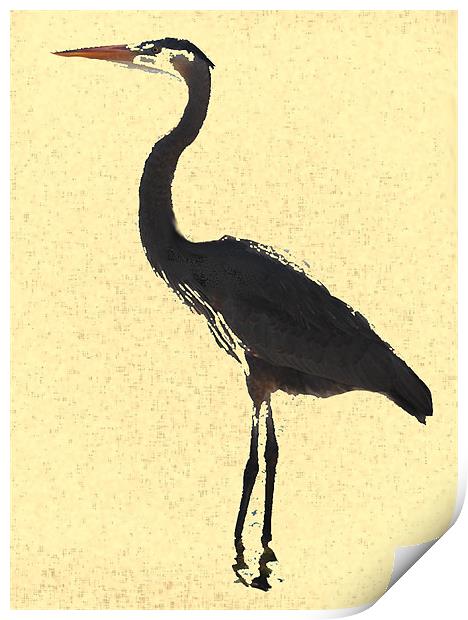 Heron wading in ocean Print by Regis Yaworski