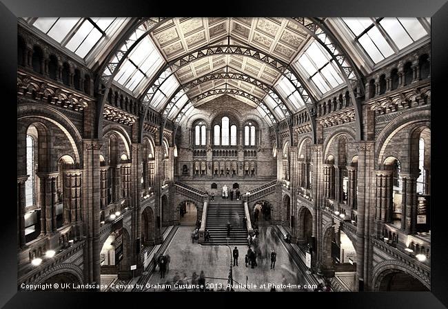 Natural History Museum Framed Print by Graham Custance