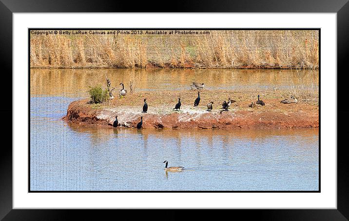 Party Island Framed Mounted Print by Betty LaRue