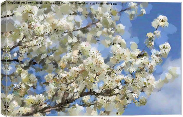Spring Blossoms Canvas Print by Betty LaRue