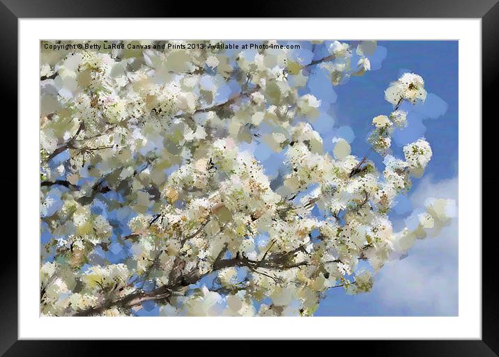 Spring Blossoms Framed Mounted Print by Betty LaRue