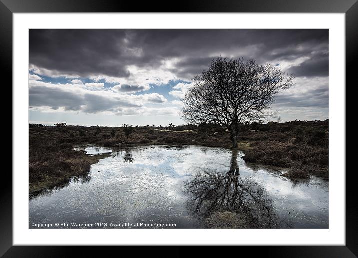Burley, New Forest Framed Mounted Print by Phil Wareham