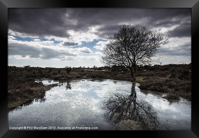 Burley, New Forest Framed Print by Phil Wareham