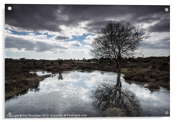 Burley, New Forest Acrylic by Phil Wareham