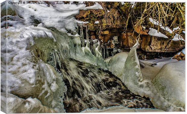 Water and Icicles Canvas Print by Trevor Kersley RIP