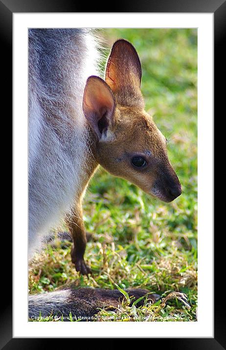 Peek-a-boo Framed Mounted Print by carolyn stewart