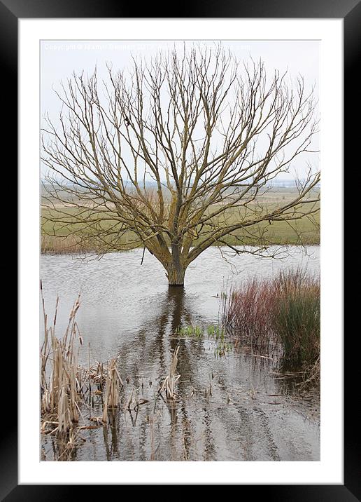 waterlogged Framed Mounted Print by Martyn Bennett