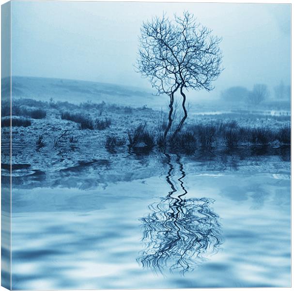 Cold Reflection Canvas Print by paul cowles