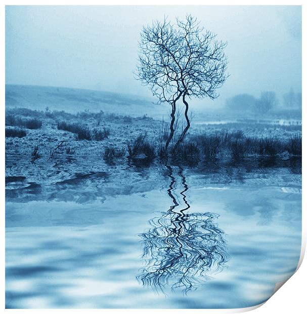 Cold Reflection Print by paul cowles