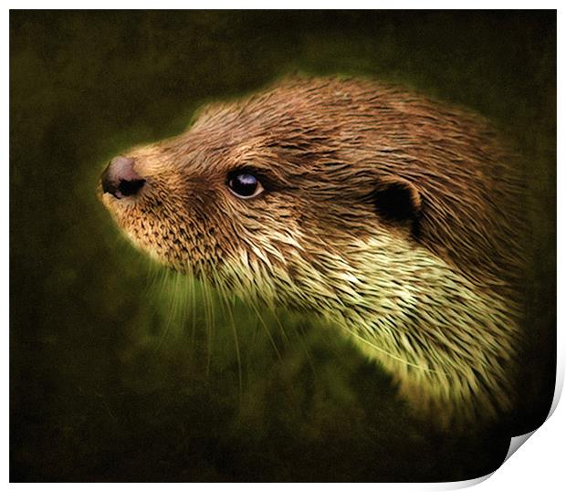 Otter, Lutra lutra. Print by Debra Kelday
