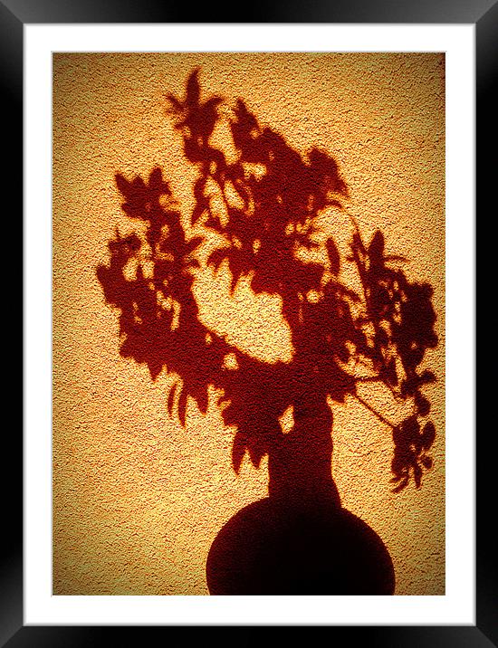 shadow tree Framed Mounted Print by dale rys (LP)