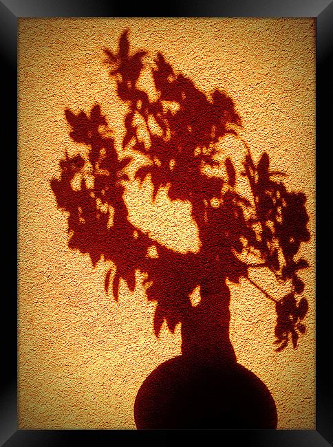 shadow tree Framed Print by dale rys (LP)