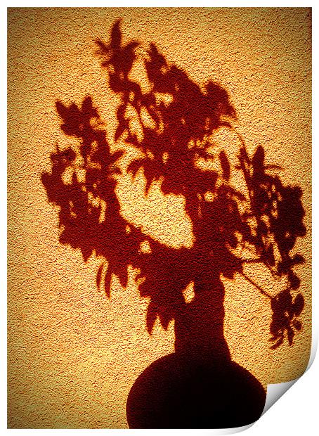 shadow tree Print by dale rys (LP)