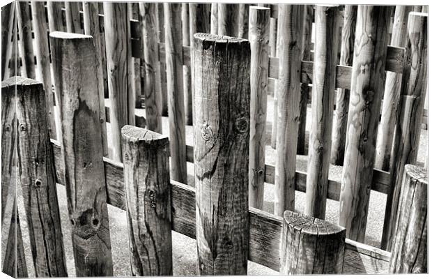 black and white fencing Canvas Print by Heather Newton