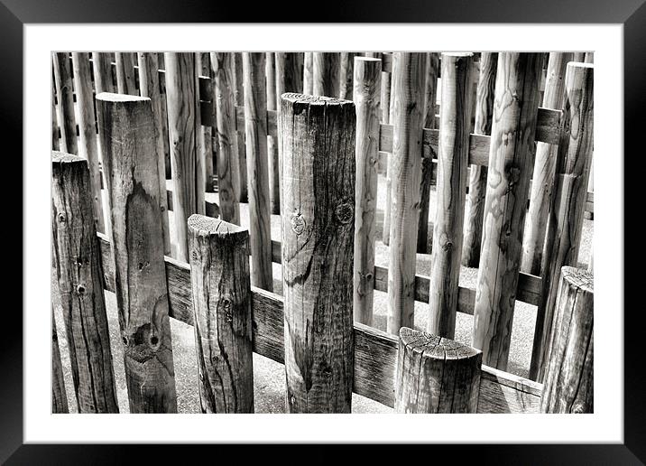 black and white fencing Framed Mounted Print by Heather Newton