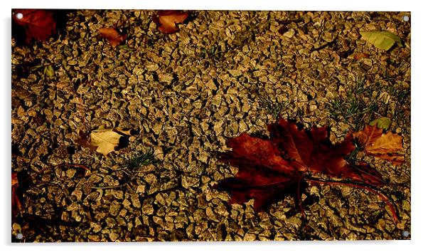 stone leaf Acrylic by Daniel Carr