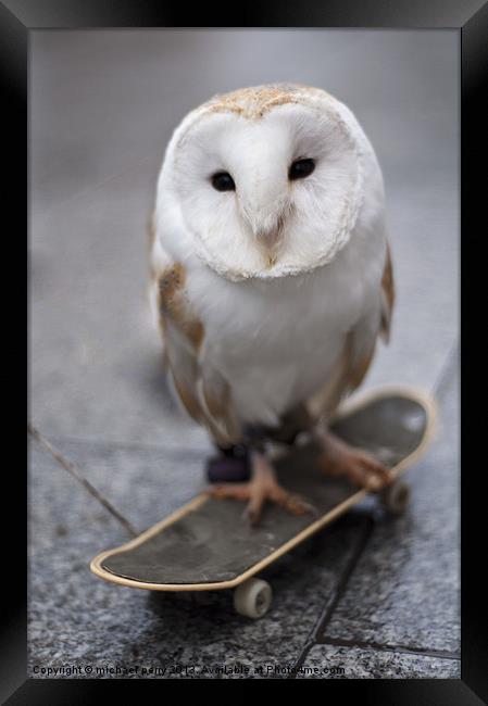 Skateboarding owl Framed Print by michael perry