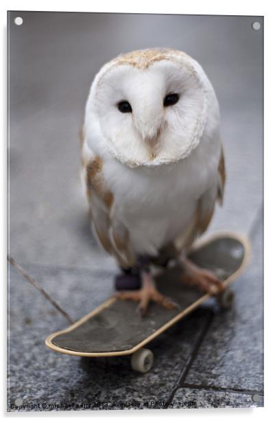 Skateboarding owl Acrylic by michael perry