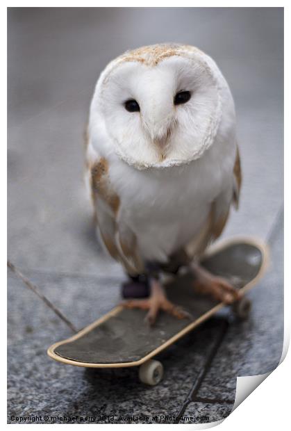 Skateboarding owl Print by michael perry