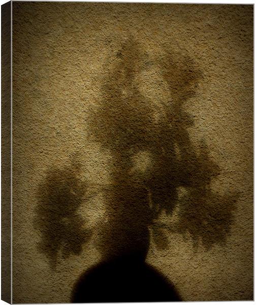 moody bonsai Canvas Print by dale rys (LP)