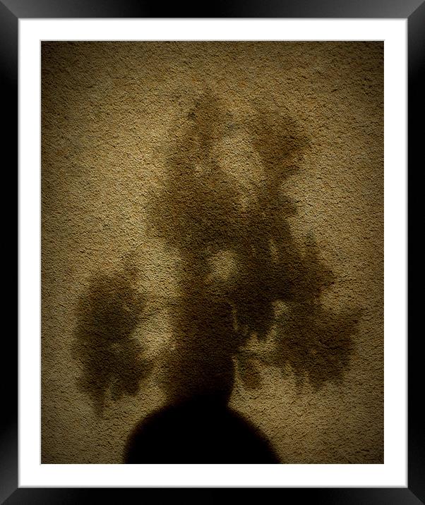 moody bonsai Framed Mounted Print by dale rys (LP)