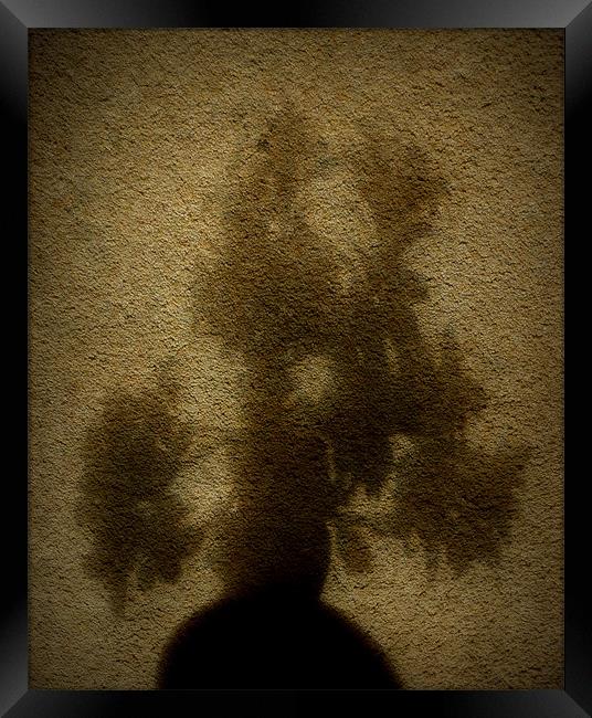 moody bonsai Framed Print by dale rys (LP)