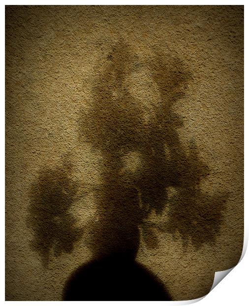 moody bonsai Print by dale rys (LP)
