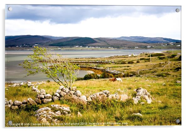Meenacross landscape Acrylic by David McFarland