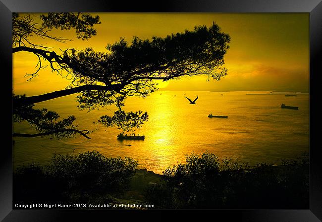 Golden Sunset Gibraltar Framed Print by Wight Landscapes
