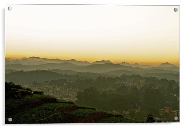 Ooty at Sunset Acrylic by Norwyn Cole