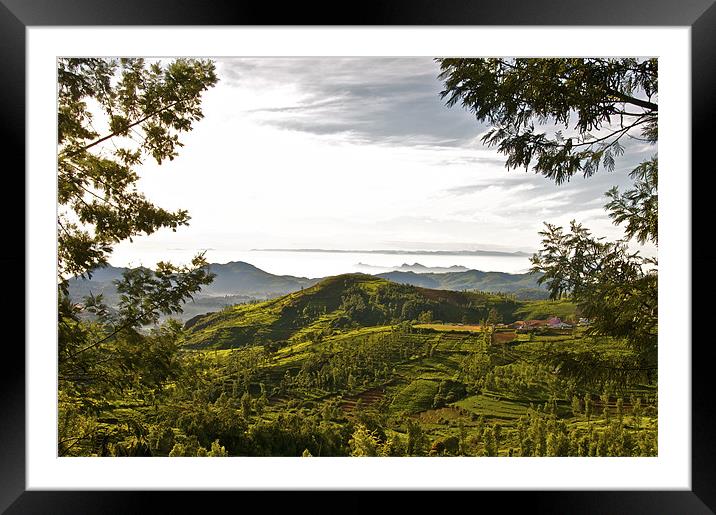 Coonoor from the Kotagiri Road Framed Mounted Print by Norwyn Cole