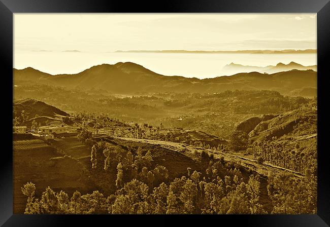 Coonoor in the Morning Framed Print by Norwyn Cole