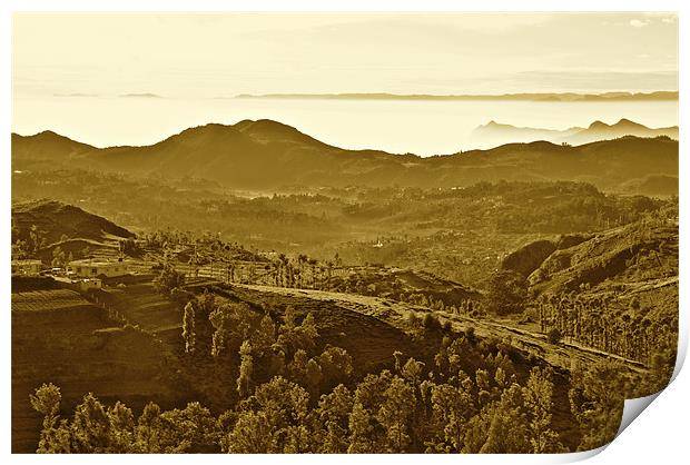 Coonoor in the Morning Print by Norwyn Cole