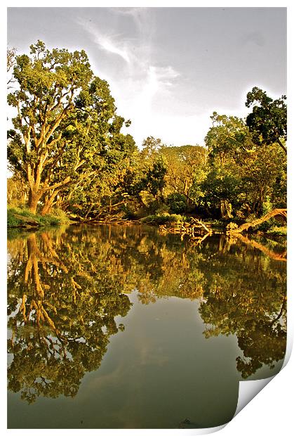 The Moyar River being reflective Print by Norwyn Cole