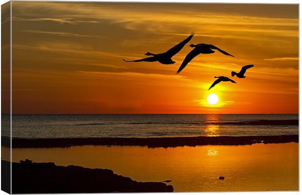 flying sunset Canvas Print by Kelvin Rumsby