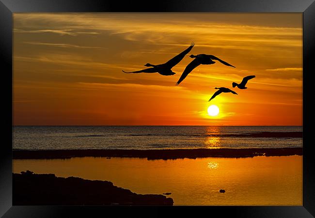 flying sunset Framed Print by Kelvin Rumsby