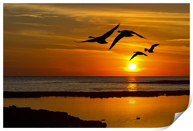 flying sunset Print by Kelvin Rumsby