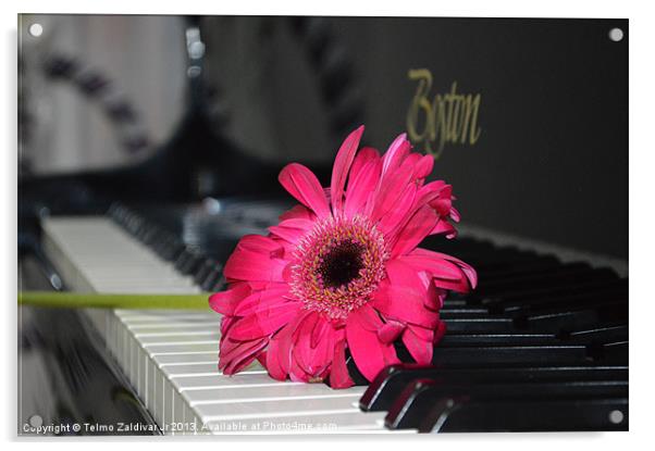Flower on the keyboard Acrylic by Telmo Zaldivar Jr