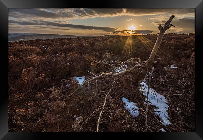 Sunset in the North Yorkshire Moors Framed Print by Phil Tinkler