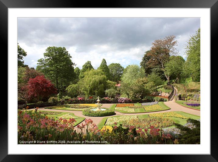 Shrewsbury Town Park Framed Mounted Print by Diane Griffiths