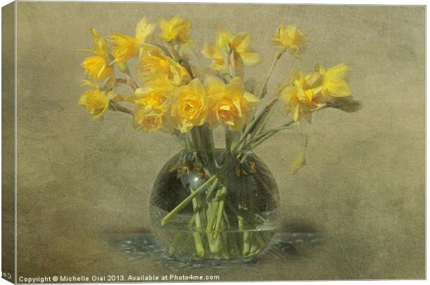 Springtime Daffodils Canvas Print by Michelle Orai