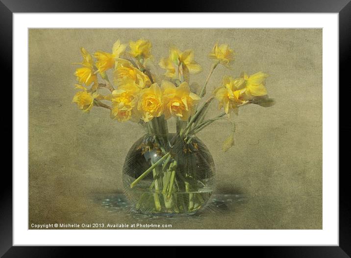 Springtime Daffodils Framed Mounted Print by Michelle Orai