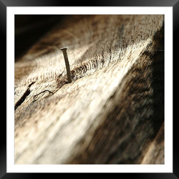 Nail in wood Framed Mounted Print by christopher darmanin