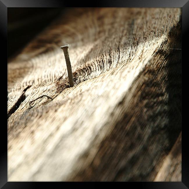 Nail in wood Framed Print by christopher darmanin