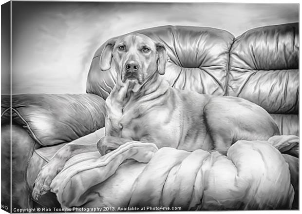 THE PROUD RIDGEBACK Canvas Print by Rob Toombs