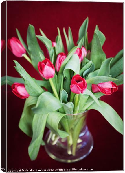 Vase of Tulips Canvas Print by Natalie Kinnear